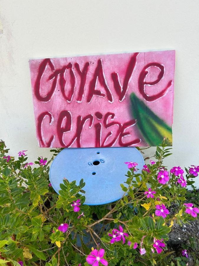 Appartamento Goyave-Cerise Trois-Rivières Esterno foto